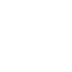 Mendoza Shopping